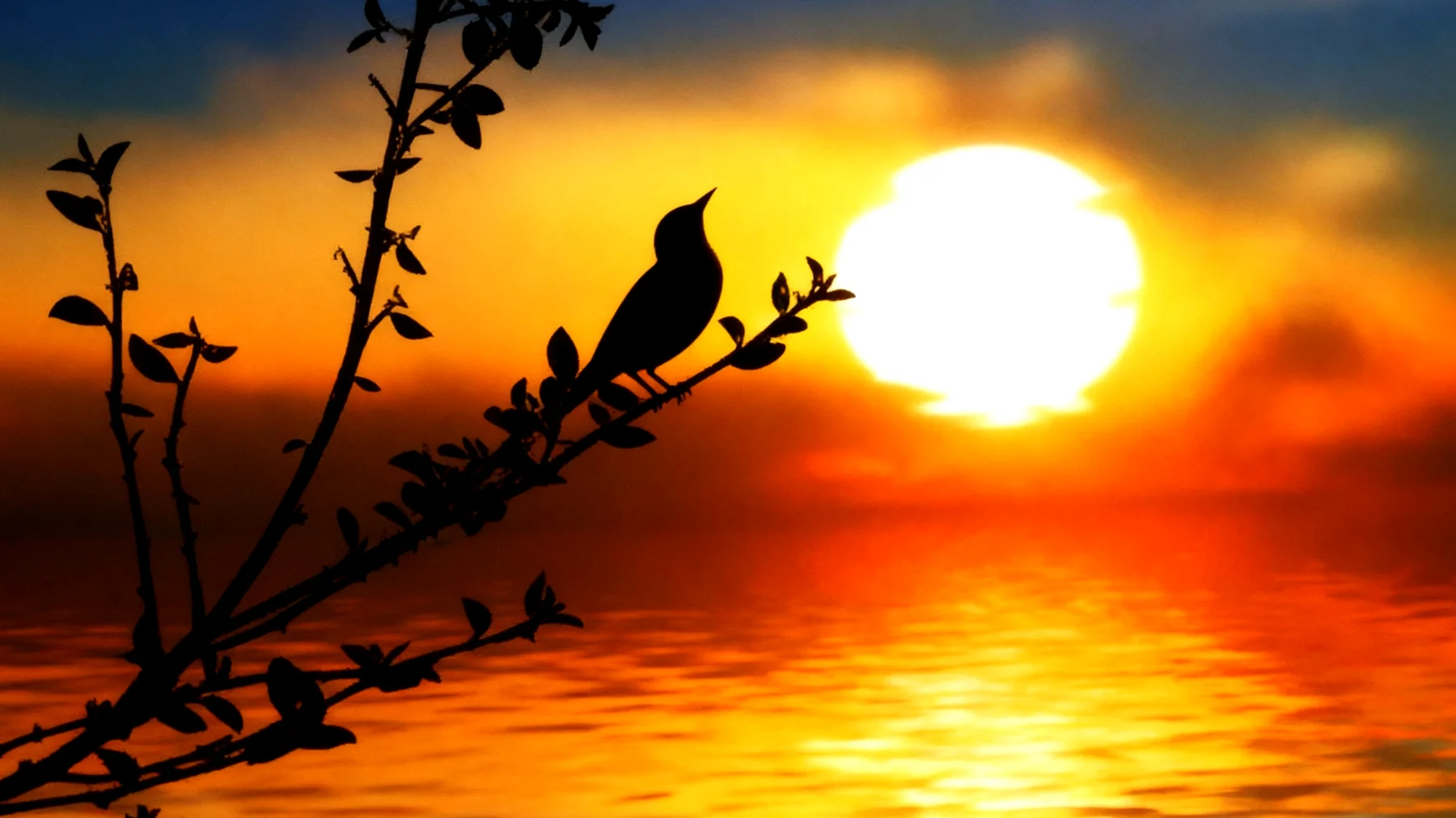 Beautiful 2026-01-25T10:35:00.969Z"