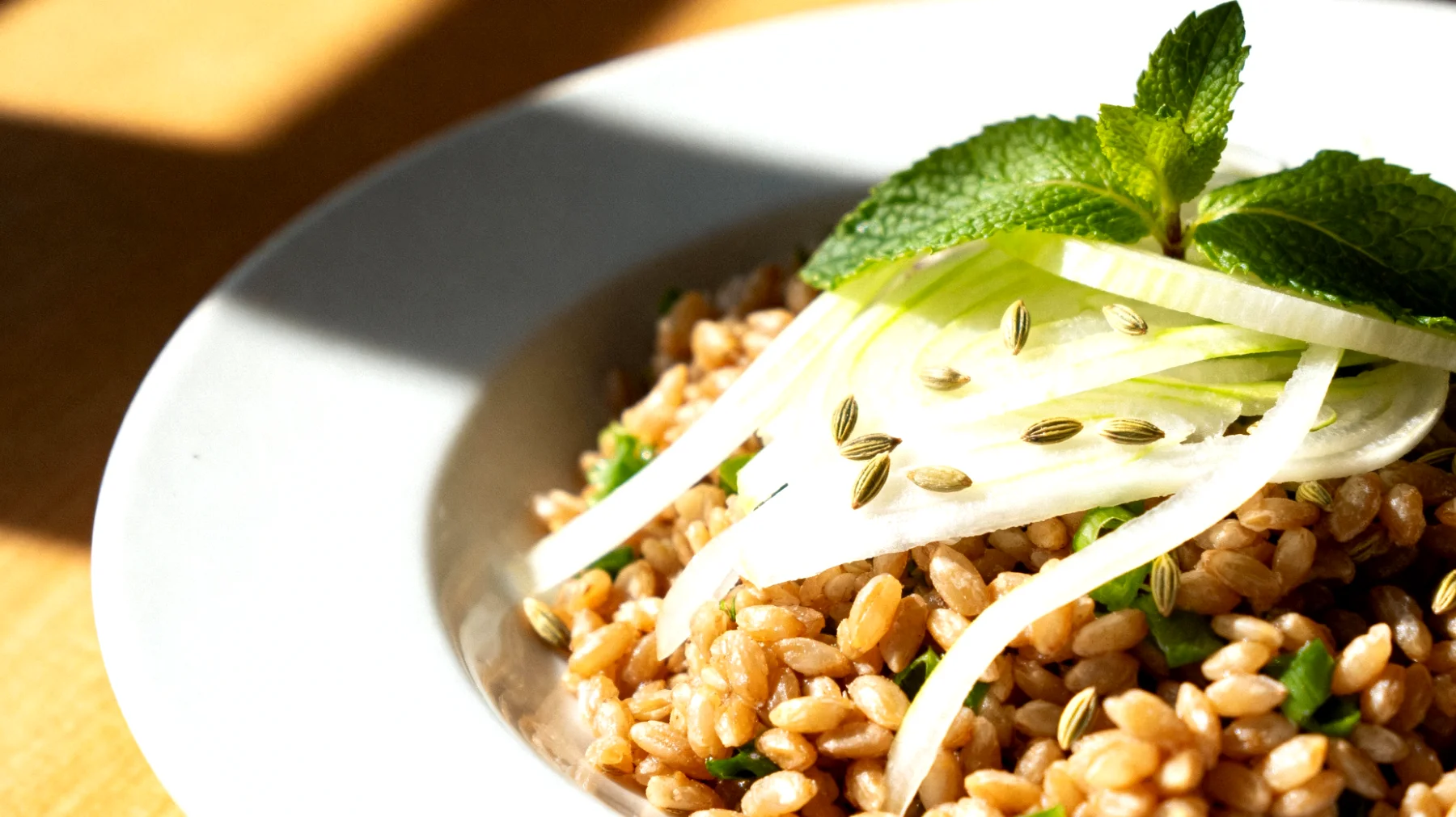 Insalata di farro con finocchio crudo, menta e semi di finocchio"